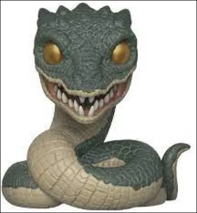 Les crocs du Basilic possèdent un venin très redoutable. Mais son plus grand pouvoir reste le regard de ses yeux qui tuent quiconque a la malchance de les fixer. 
De quelle couleur sont-ils ?