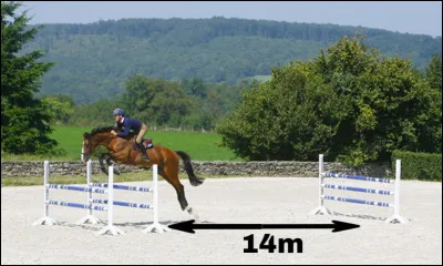 (BONUS) Combien de foulées un cheval au galop doit-il faire si la distance entre deux obstacles est de 14 m ?
