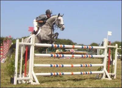 Comment sappelle cet obstacle ?