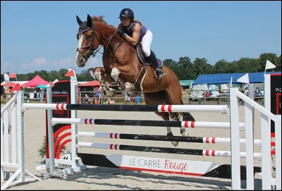 Comment s’appelle cet obstacle ?