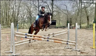 Comment s’appelle cet obstacle ?