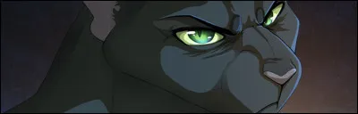 Quelle couleur dil préfères-tu ?