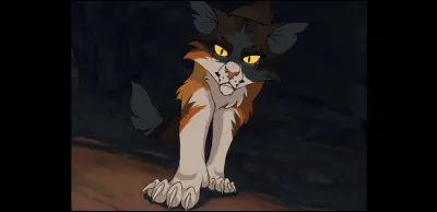 Quel caractère aimerais-tu que ton compagnon ou ta campagne ait ?