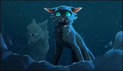 Quel grade voudrais-tu que ta compagne ou ton compagnon ait ?