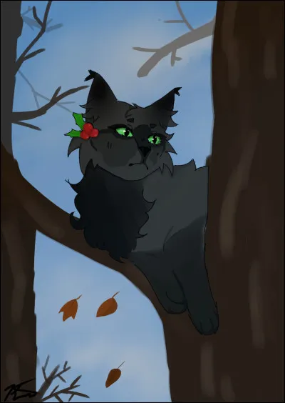 Par quoi voudrais-tu que son nom commence ?