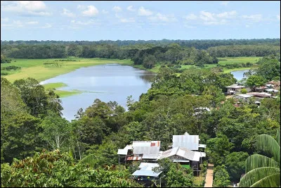La forêt amazonienne couvre neuf États.