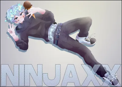 Combien d'abonnés a Ninjaxx ? (26/12/2023)