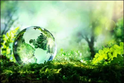 Aimes-tu la nature, l'écologie ?