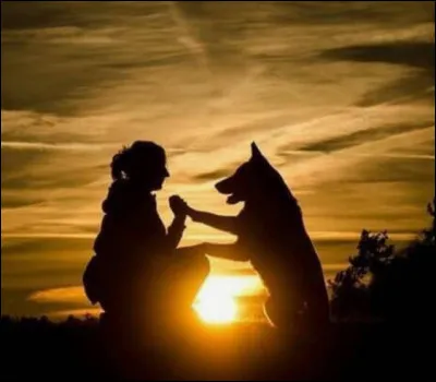 Aimes-tu les animaux ?