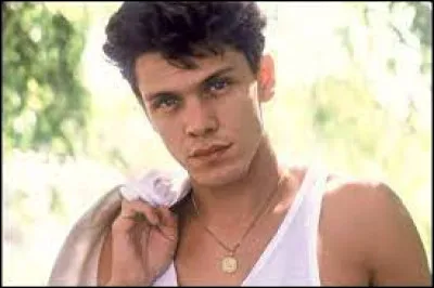 Avec quelle chanteuse Marc Lavoine a-t-il chanté "Qu'est-ce que t'es belle" ?