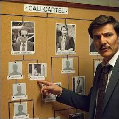 Quel pays est concerné par l'organisation mafieuse, le cartel de Cali ?