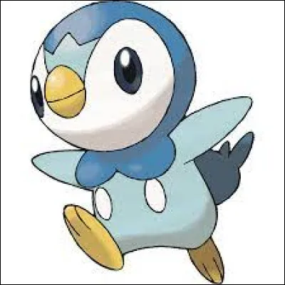 Quel est le nom de ce Pokémon ?