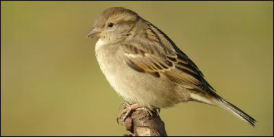 Comment s'appelle sa mère ?