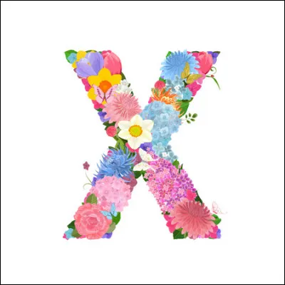 Que désigne une xanthophylle ?