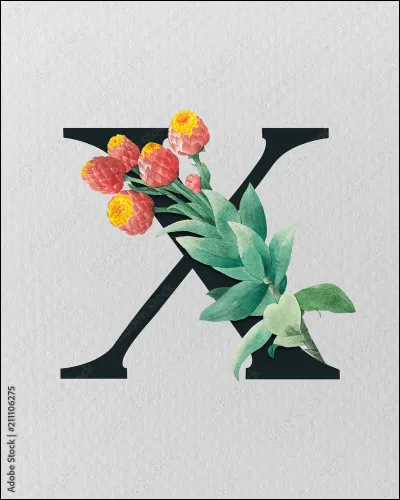 X : quelle lettre de l'alphabet grec lui correspond ?