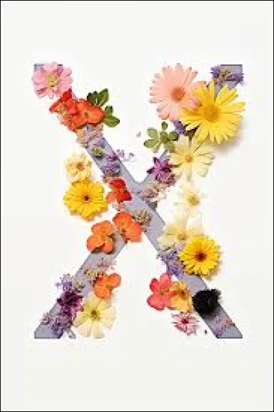 Xanax : Qu'est-ce encore ?