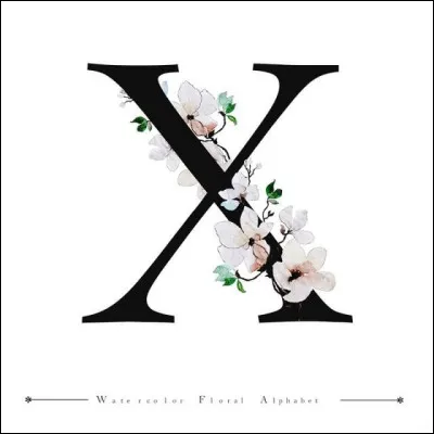 Xylophage : lequel n'en est pas un ?