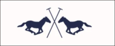 Quelle est cette marque ?