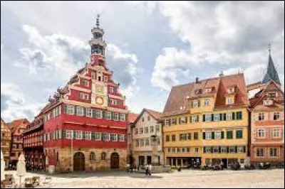 Cette ville allemande de 94 000 habitants, située dans le Bade-Wurtemberg, à 10 km de Stuttgart, c'est ...