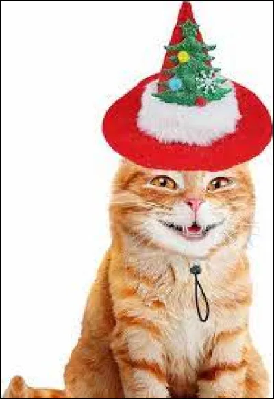 Pour finir, quelle était la couleur de base du père Noël ?