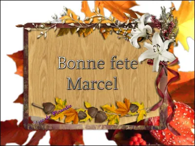 Les indices sont "Madeleine", "Groupe Figaro", "aviation", quel est ce Marcel ?