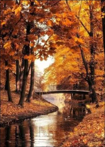 Quelle est la particularité de la fable ?