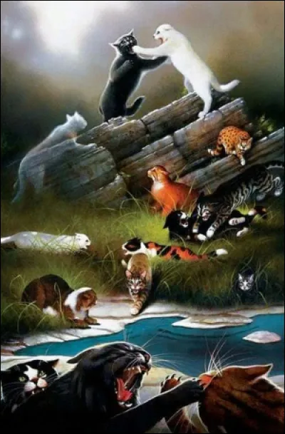 Mise en situation : 
Ton clan se fait attaquer, que fais-tu ?