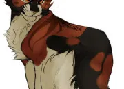 Quiz Ombre d��rable : connais-tu bien cette psychopathe de comp�tition ?