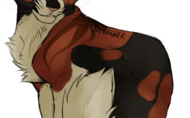 Quiz Litt�rature, po�sie