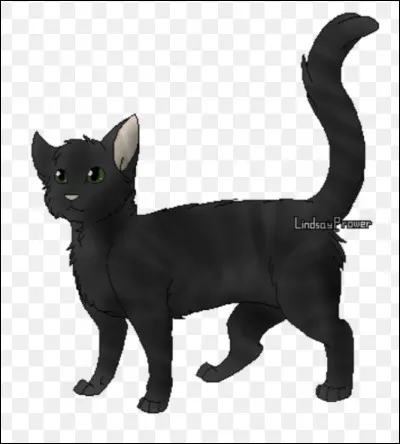 Qui est son mentor ?