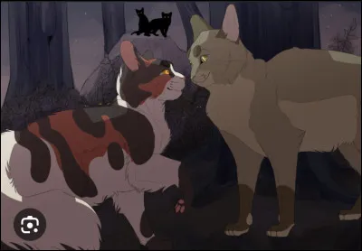 Qui est son compagnon ?