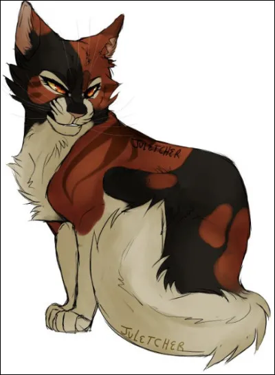 A-t-elle des chatons ?