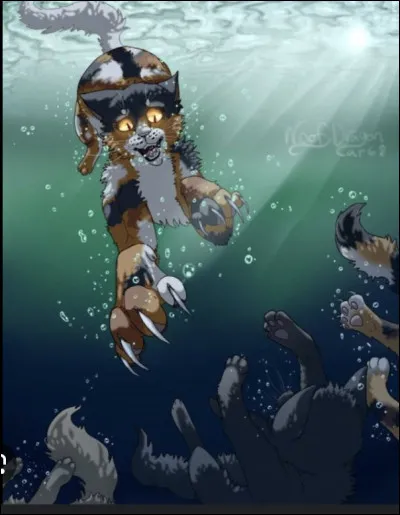 Elle se fait bannir de son Clan, mais Pomme de Cr&eacute;puscule la rejette en raison de la mort de ses chatons. Comment sont-ils morts ?