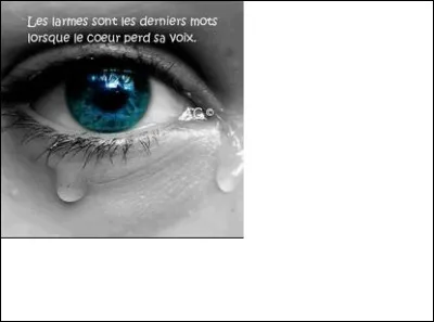 Quel est ton type de lecture ?