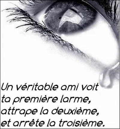 On te dit que tu as une sortie scolaire toute une journée. Quelle est ta réaction ?