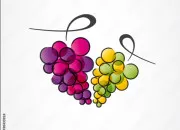 Quiz Culture g�n�rale tous th�mes - 2