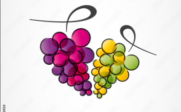 Quiz Culture g�n�rale