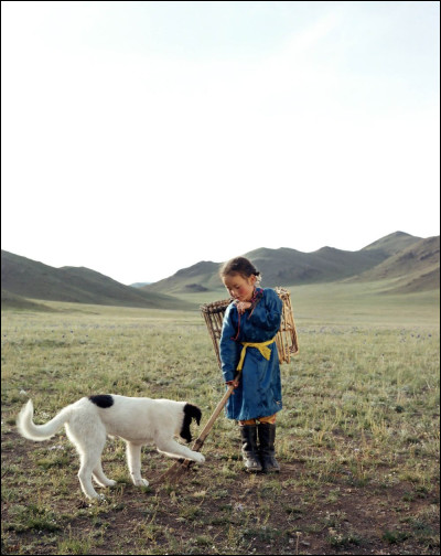 Commençons avec du cinéma ! Comment est le célèbre chien de Mongolie ?