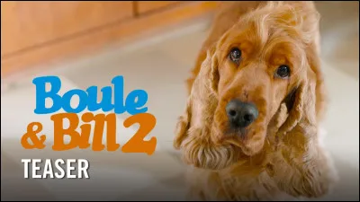 Comment se nomme le chien dans ''Boule et Bill'' ?
