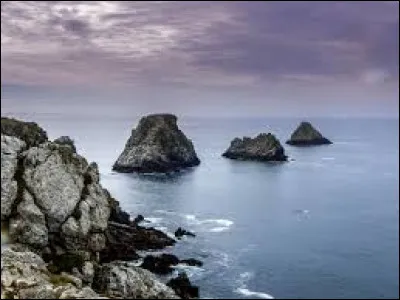 À quelle chanteuse doit-on le titre "Musique" ?