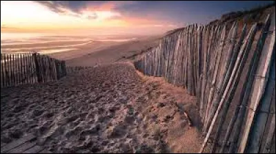 Qui a écrit la nouvelle "La Lettre volée" ?