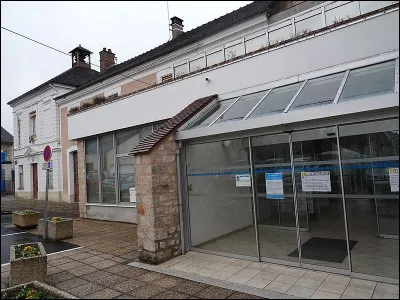 Quel chanteur français a utilisé, pour la première fois, un microphone ?