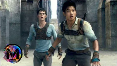 Qui est le meilleur ami de Thomas ?