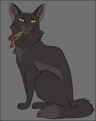 Un de tes apprentis a révélé au grand jour le plan de la Forêt Sombre, que fais-tu ?