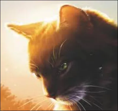 Dans une bataille, que fais-tu, en tant que méchant ?