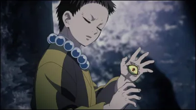 Ce personnage appartient-il à "One Piece" ou à "Demon Slayer" ?