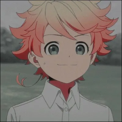 Ce personnage appartient-il à "One Piece" ou à "Demon Slayer" ?