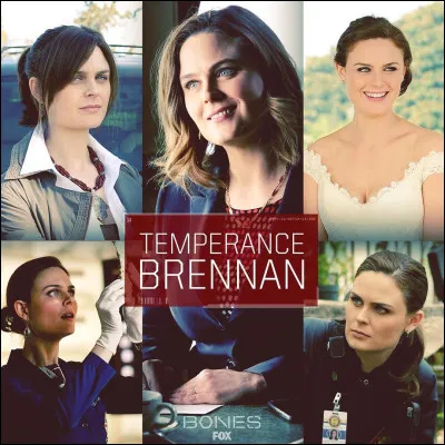 Temperance Brennan est le personnage principal de :