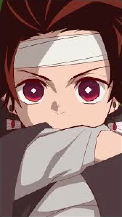 Dans quel animé le personnage principal a-t-il perdu sa famille ?