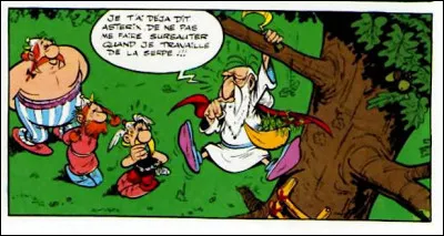 Panoramix > Une autre tradition du monde celtique ancien était celle de la cueillette rituelle [...de quoi donc ?], ce qui donnait en français une expression usuelle, quoiqu'à la sémantique mouvante ces dernières siècles ! Laquelle ?